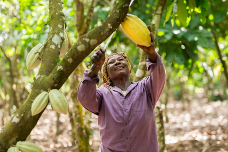 Fairtrade Africa Change Day 2026