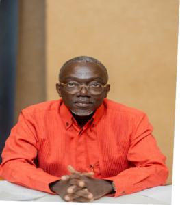 Douglas Boateng on Africa's development and implementation challenges